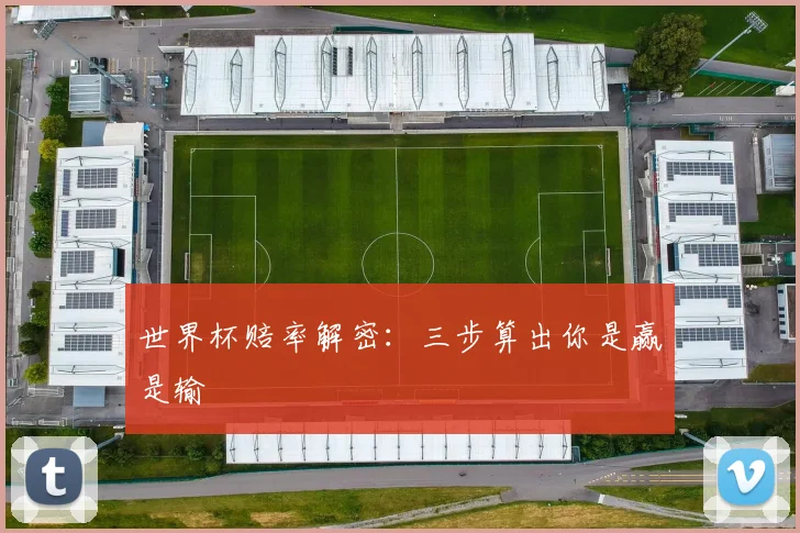 世界杯赔率解密：三步算出你是赢是输