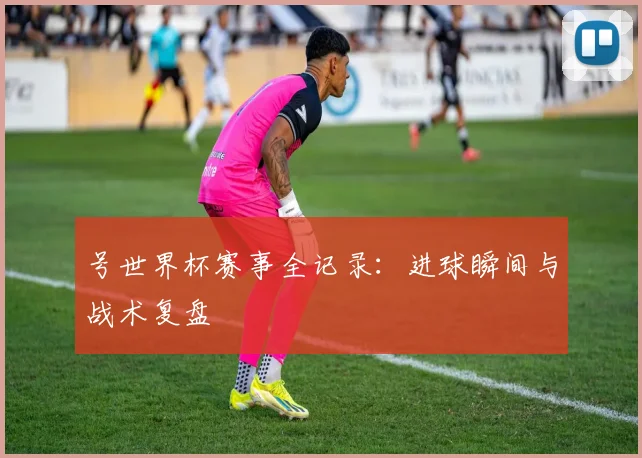 号世界杯赛事全记录：进球瞬间与战术复盘