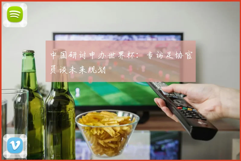 中国研讨申办世界杯：专访足协官员谈未来规划