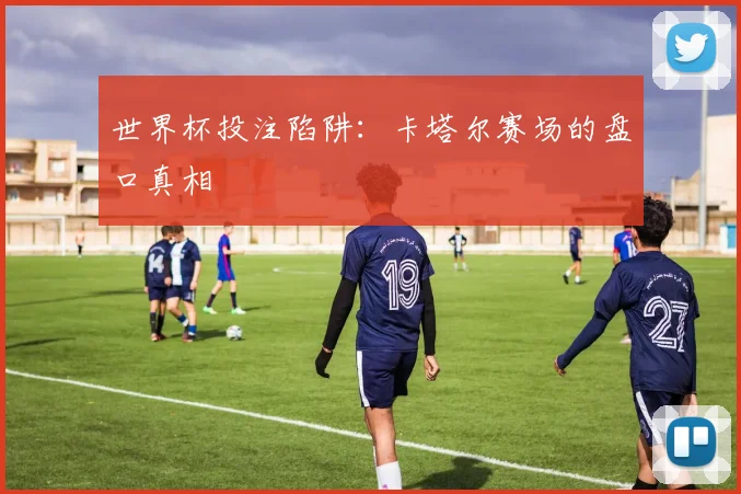 世界杯投注陷阱:卡塔尔赛场的盘口真相
